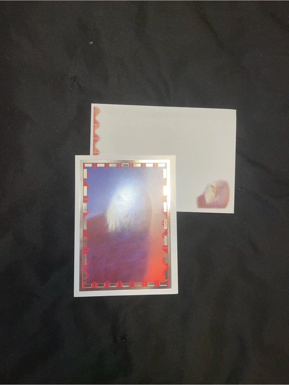 Eagle Blank Greeting Card